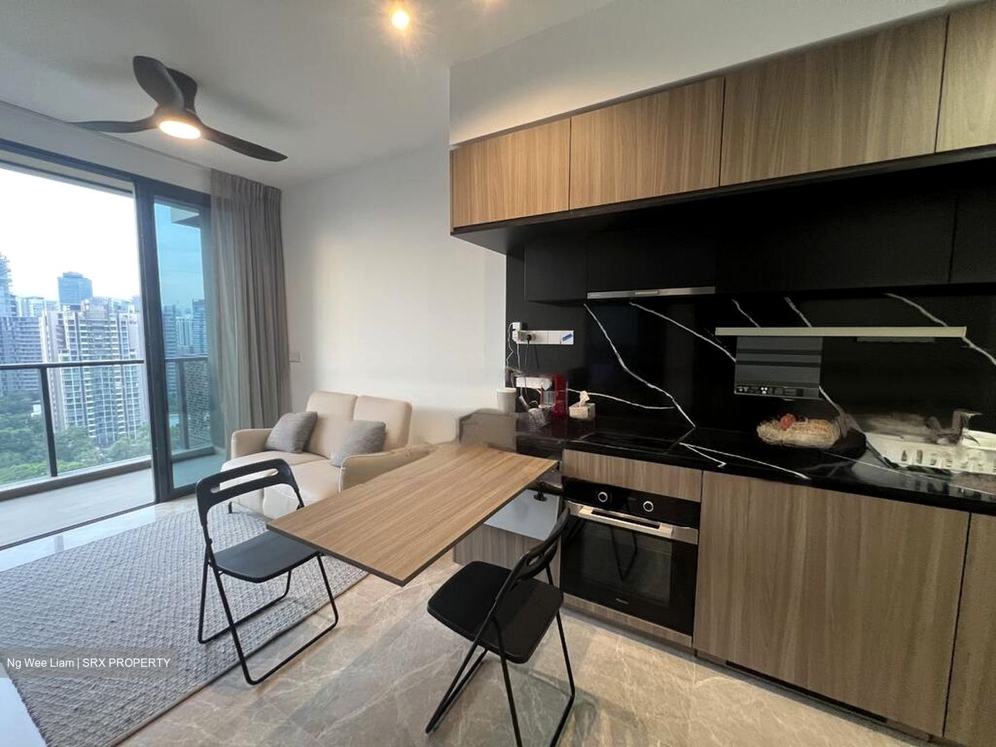 Irwell Hill Residences (D9), Apartment #478256951